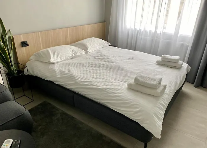 Caсtus Apartments 1