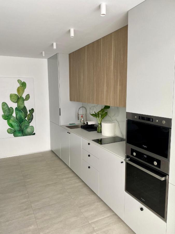 Apartment Caсtus 1