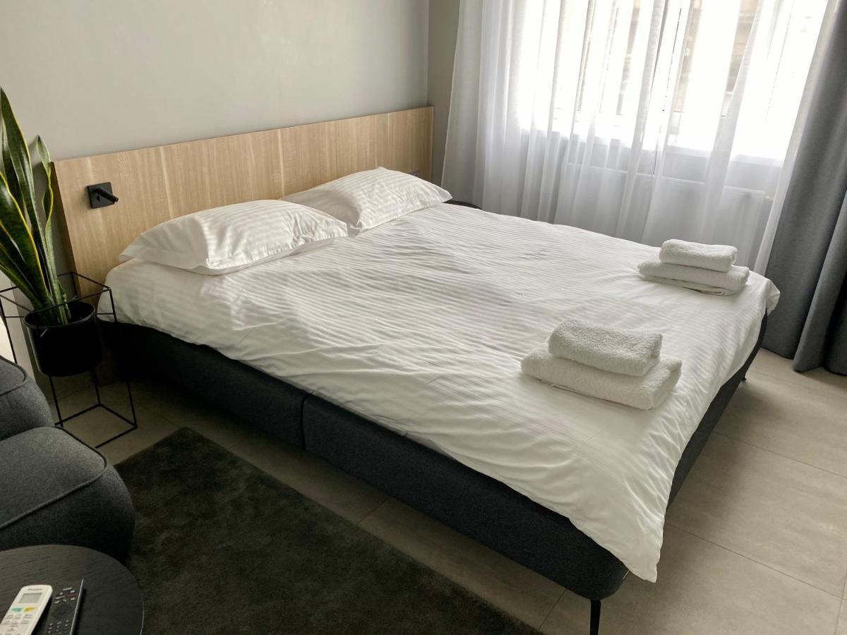 Caсtus 1 Apartment
